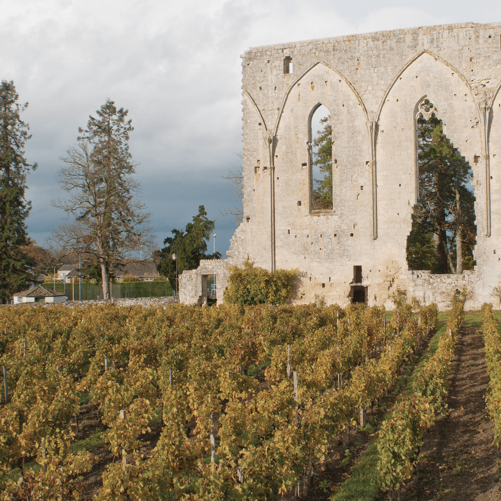 UDP Saint-Emilion(Union De Producteurs Saint-Emilion)