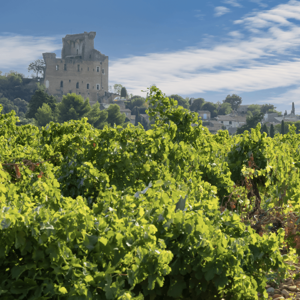 Domaine De La Janasse