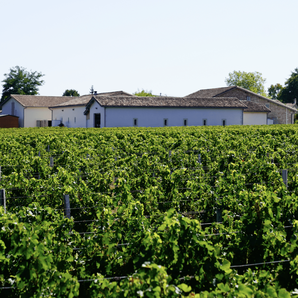 Vinobles Romaine Maison